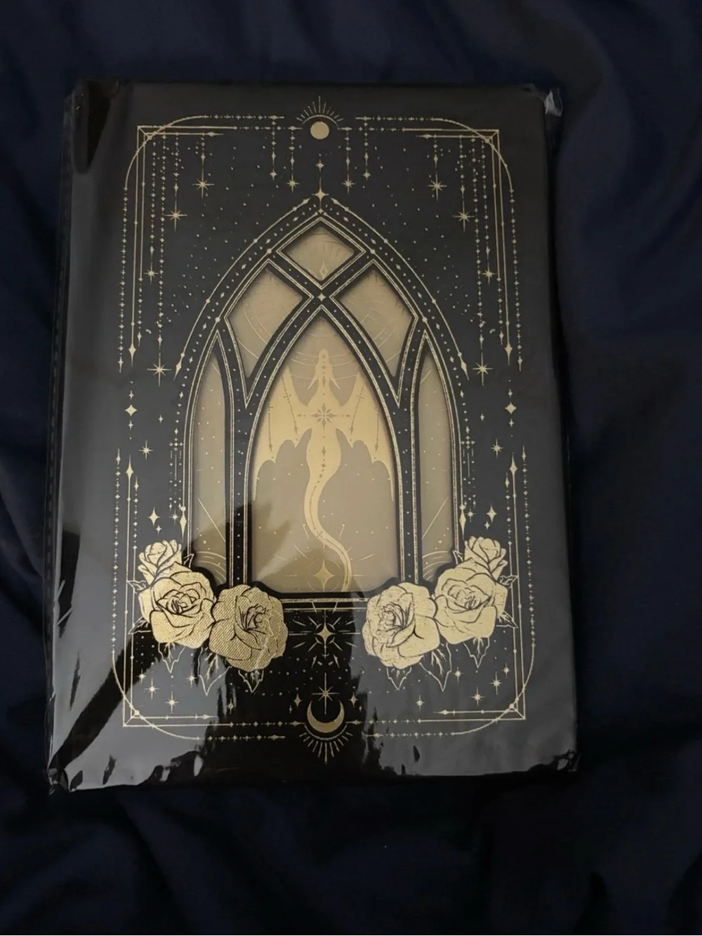 Fourth Wing journal